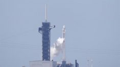 SpaceX pone en el espacio otros 58 satélites Starlink y tres de observación