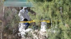 Descubren fosa clandestina con 8 cuerpos en estado mexicano de Michoacán