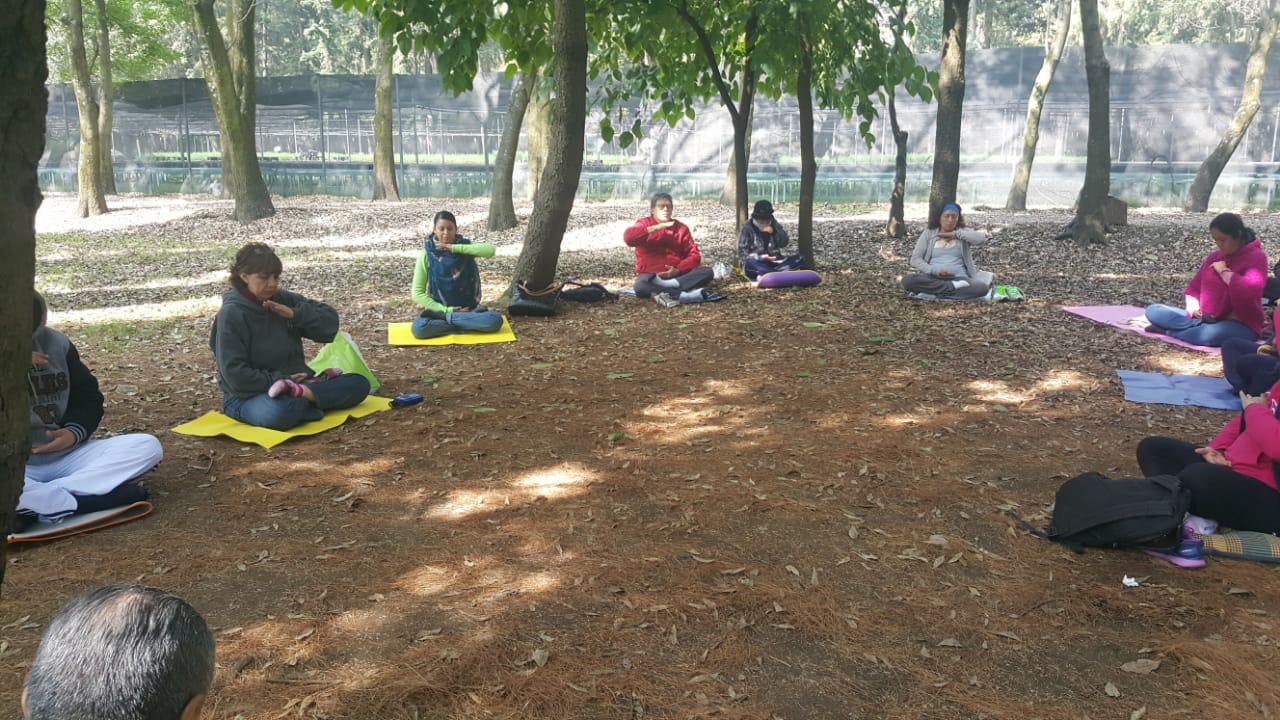 Practicantes de Falun Dafa realizan los ejercicios de la disciplina en el sitio de práctica en un Jardín de la Ciudad de México. (Cortesía Flo Vilchis)