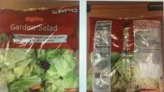 Walmart y Aldi retiran mezclas para ensaladas debido a la ciclospora