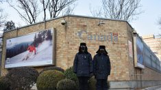 Funcionario canadiense responde a informes sobre estaciones de policía chinas no oficiales en Toronto