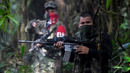 ELN secuestra a una sargento del Ejército y a sus dos hijos de 6 y 8 años en Colombia
