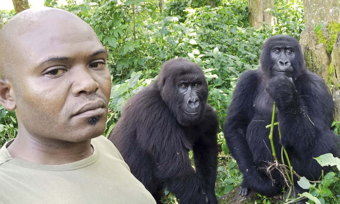 El guardabosques Patrick Sadiki Karabaranga y algunos amigos se toman una selfie juntos en el Parque Nacional de Virunga en Rumangabo. (Caters News)
