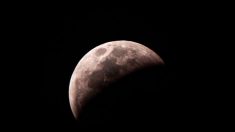 Eclipse lunar penumbral de junio coincide con la “Luna llena de fresa”: lo que debe saber