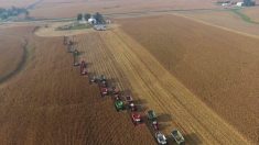 Comunidad se reúne para cosechar 450 acres en 10 horas para ayudar a granjero con cáncer terminal