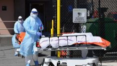 Por primera vez la ciudad de Nueva York no reporta muertes por virus desde el inicio del brote en marzo