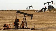 El sector petrolífero estadounidense acusa a México de discriminación