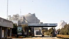Gobierno argentino apoya un plan para intervenir Vicentín sin expropiación