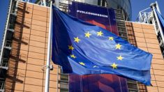 La UE incluye a China en la lista de los principales infractores en materia de propiedad intelectual