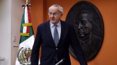 El mexicano Jesús Seade defiende ante la OMC su candidatura a dirigir el organismo