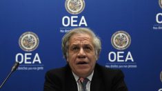 Secretario general de la OEA supervisa inicio de transición presidencial en Guatemala