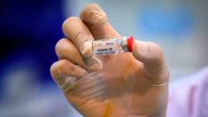 EE.UU. acuerda pagar USD 1950 millones a Pfizer y BioNTech por vacuna de COVID-19