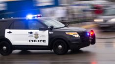 Consejo de Minneapolis que busca abolir la policía local gasta USD 63,000 en seguridad privada