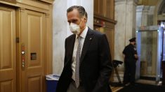 El senador Mitt Romney camina con manifestantes en Washington