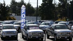 Ford permitirá devolver coches nuevos a quienes hayan perdido sus empleos