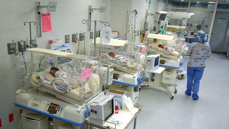 Los sextillizos yacen dentro de sus incubadoras el 5 de julio de 2005 en el hospital Ginequito de Monterrey, México. (ALEJANDRO ACOSTA/AFP vía Getty Images)
