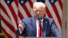Trump pide al Departamento de Seguridad Nacional rehacer las directrices para terminar con DACA
