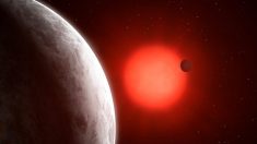 Astrónomos descubren 3 planetas ‘súper tierra’ orbitando una estrella enana roja a 11 años luz