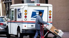 USPS aumentó sus ingresos durante la pandemia, dicen legisladores