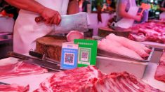 Funcionarios de aduanas de Los Ángeles confiscan casi 10 toneladas de carne prohibida de China
