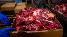 Empacadores de carne de EE.UU. son cuestionados por las masivas exportaciones a China