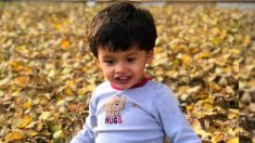 Niño pequeño desaparecido con necesidades especiales provoca una búsqueda masiva en Colorado