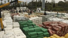 Ejército mexicano decomisa droga valuada en 30 millones en frontera con EE.UU.