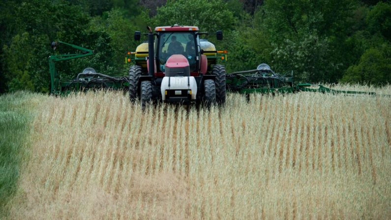 El granjero Dave Burrier planta maíz en el campo de la Capilla Marvin en Mount Airy, Maryland, el 19 de mayo de 2020. (ANDREW CABALLERO-REYNOLDS/AFP a través de Getty Images)