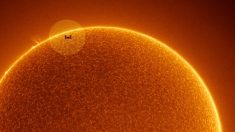 NASA revela una impresionante foto de la Estación Espacial Internacional pasando frente al Sol