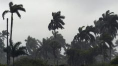 Potencial ciclón pone en alerta a varias islas del Caribe