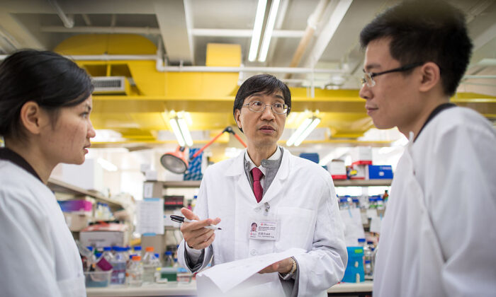 Yuen Kwok-yung (C) en un laboratorio del Departamento de Microbiología de la Universidad de Hong Kong en el Hospital Queen Mary de Hong Kong, el 11 de marzo de 2013. (Philippe López /AFP vía Getty Images)