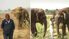 Dedicado cuidador de elefantes por 11 años comparte que le encanta cuidar a estos animales