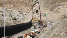 Ambientalistas piden a Corte Suprema que bloquee el uso de fondos de defensa para el muro fronterizo