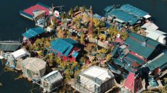 Una pareja vive en una isla flotante autosostenible que construyeron ellos mismos por 29 años