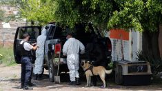 Las fosas proliferan en el mexicano Jalisco por las desapariciones y el narco