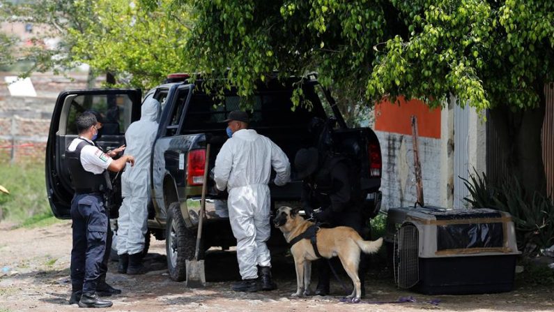 En la imagen ilustrativa, peritos forenses trabajan el pasado 19 de julio de 2020 en una fosa clandestina en el municipio del El Salto en el estado de Jalisco (México). EFE/Francisco Guasco