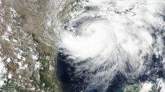 Hanna avanza como huracán a Texas y la tormenta Gonzalo está rumbo a Trinidad