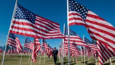Bomberos de Nueva York hacen torre gemela con 3000 banderas en honor a víctimas del 9/11
