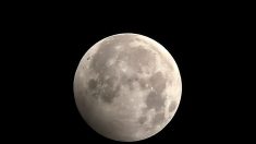 Eclipse lunar penumbral hará oscurecer la luna el 4 de julio en medio de los fuegos artificiales