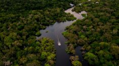 Bolsonaro alerta sobre otra campaña contra Brasil por incendios amazónicos