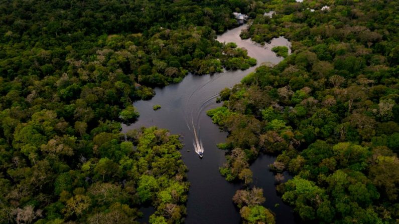 Vista aérea que muestra una embarcación navegando a toda velocidad por el río Jurura en el municipio de Carauari, en el corazón de la selva amazónica brasileña, el 15 de marzo de 2020. (Foto de FLORENCE GOISNARD/AFP vía Getty Images)