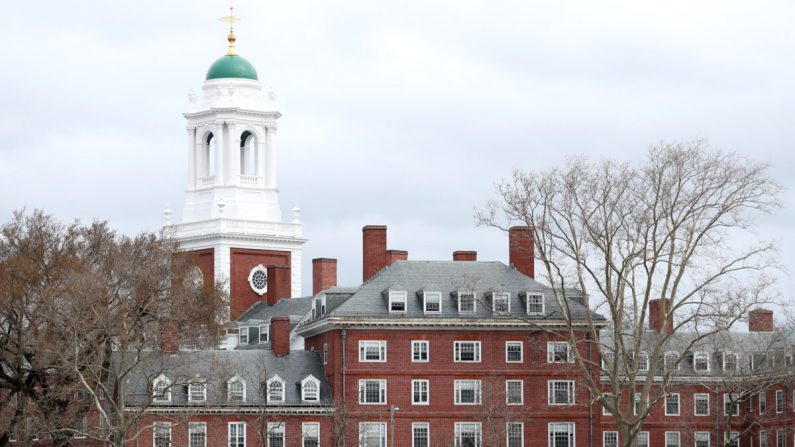 El campus de la Universidad de Harvard en Cambridge, Massachusetts, el 23 de marzo de 2020. (Maddie Meyer/Getty Images)