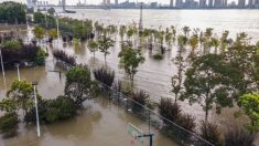 El pico de inundación se mueve por el río Yangtsé, a medida que el agua alcanza niveles peligrosos