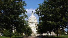 Republicanos se oponen al paquete de gastos de $1.3 billones para el 2021 aprobado por la Cámara