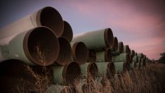 La Corte Suprema aprueba proyectos de oleoductos, excepto Keystone XL