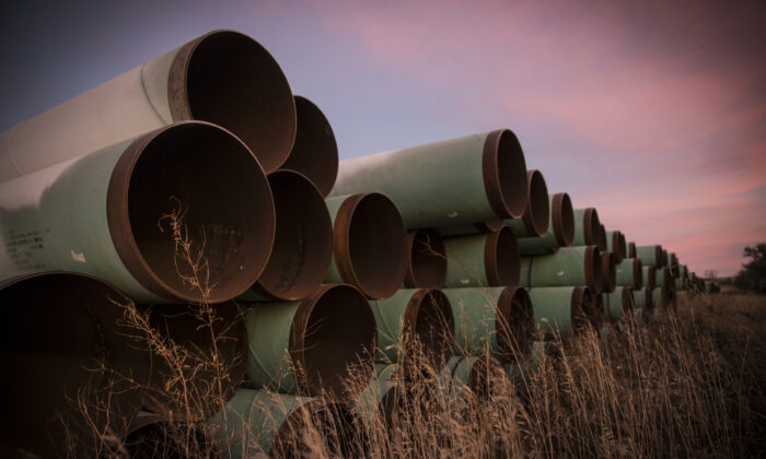 Millas de tubería sin usar, preparadas para el oleoducto Keystone XL, se encuentran en un lote en las afueras de Gascoyne, Dakota del Norte, el 14 de octubre de 2014. (Andrew Burton/Getty Images)