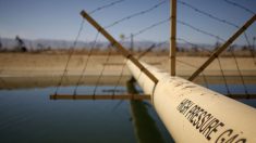 21 fiscales generales demandan al gobierno de Trump por la Ley de Agua Limpia