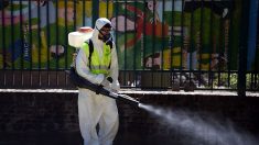 Argentina registra una cifra récord de casos de dengue