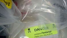 Acusan a 40 personas de formar parte de red de una narcotráfico en Nueva York