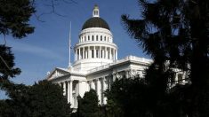 Llamadas para testimonio público generan problemas a la Asamblea de California